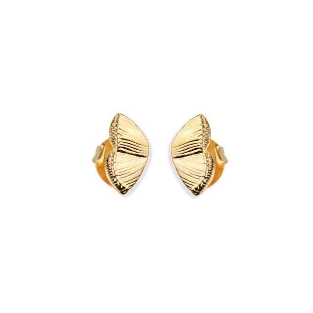 BRINCO WINGS